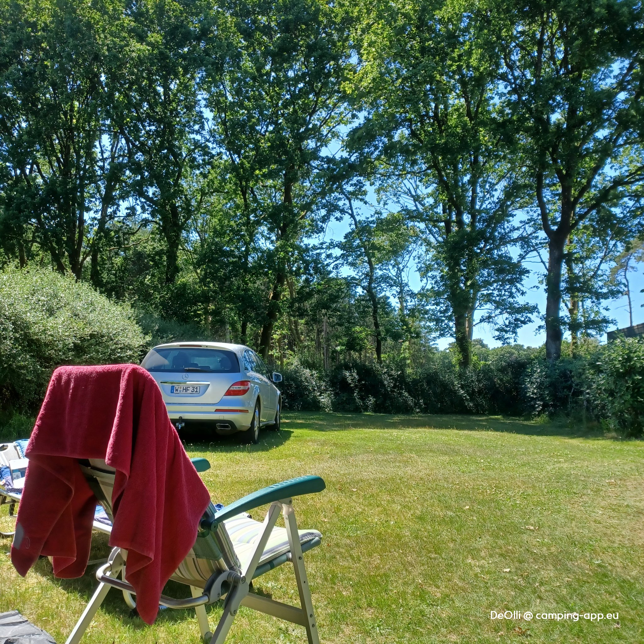 Vedsølejren naturistcamping — Foto 5