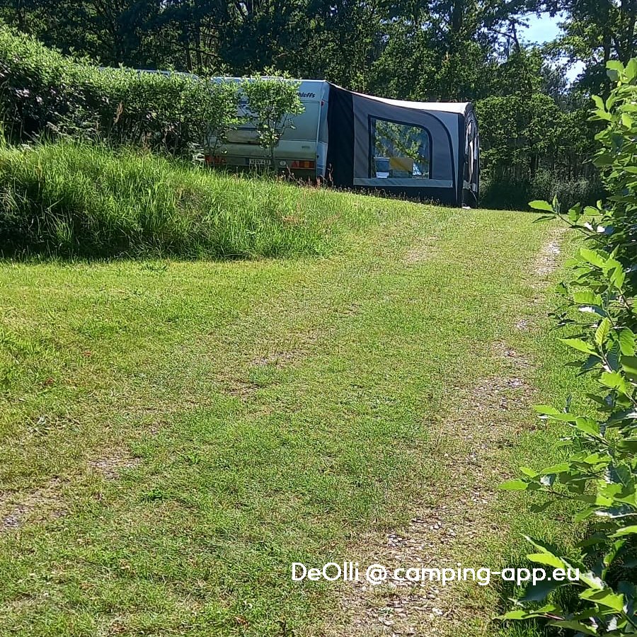 Vedsølejren naturistcamping — Foto 6