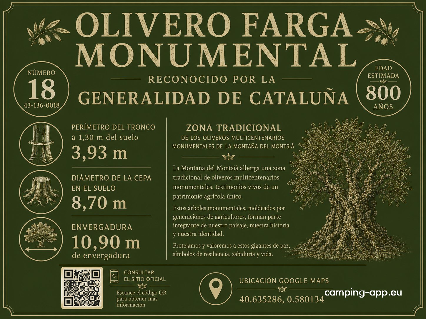 La Finca de los Viajeros — Foto 6