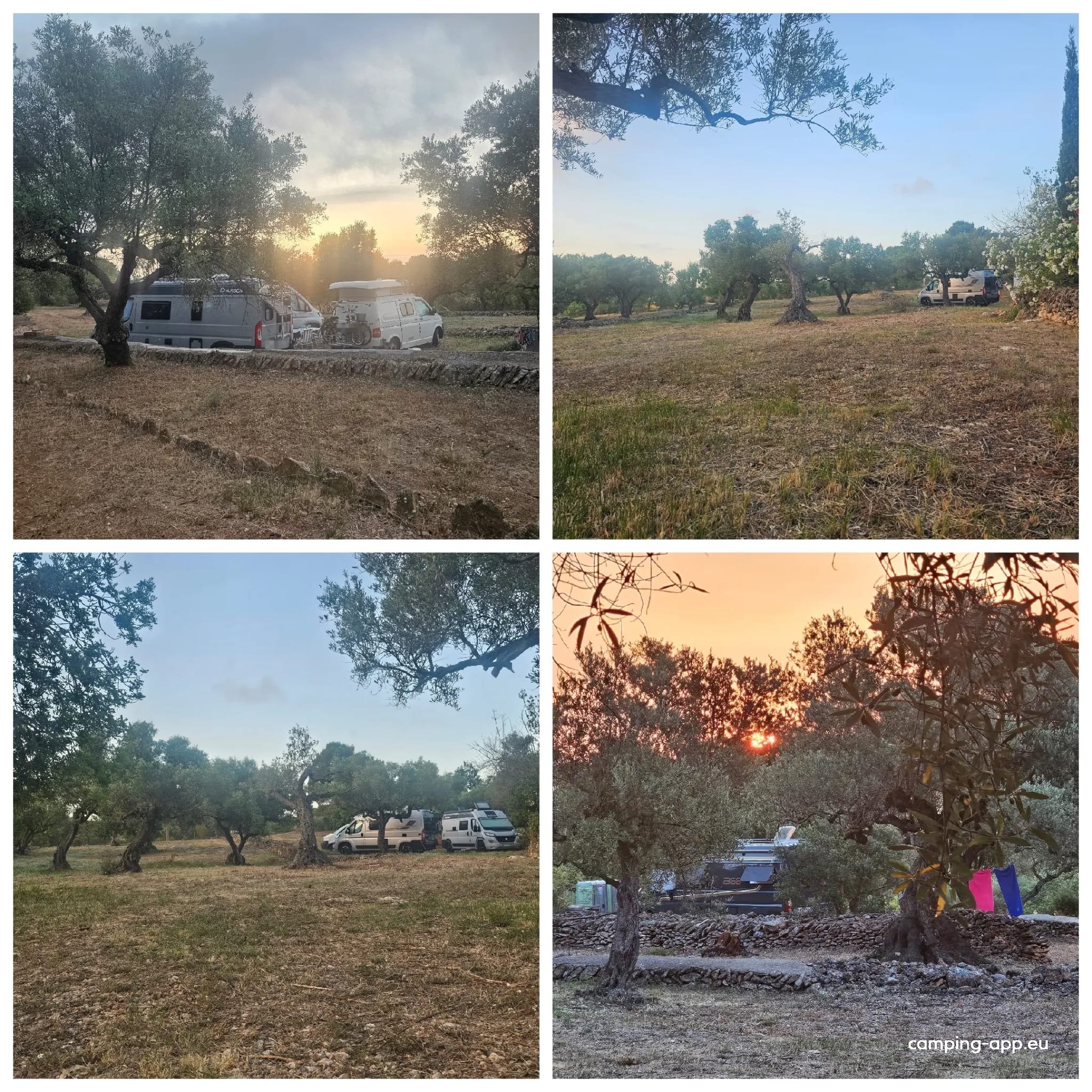 La Finca de los Viajeros — Foto 2