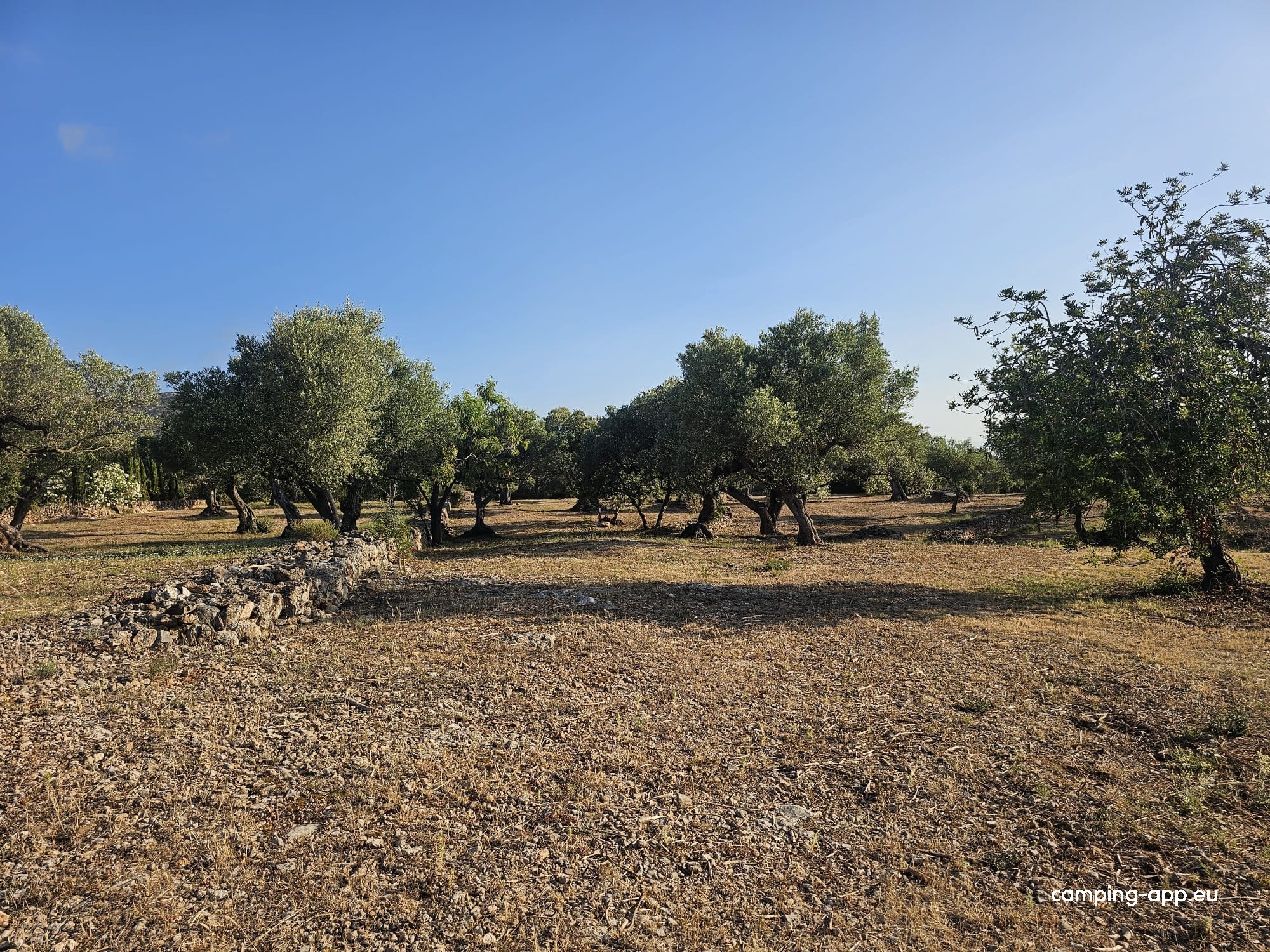 La Finca de los Viajeros — Foto 2