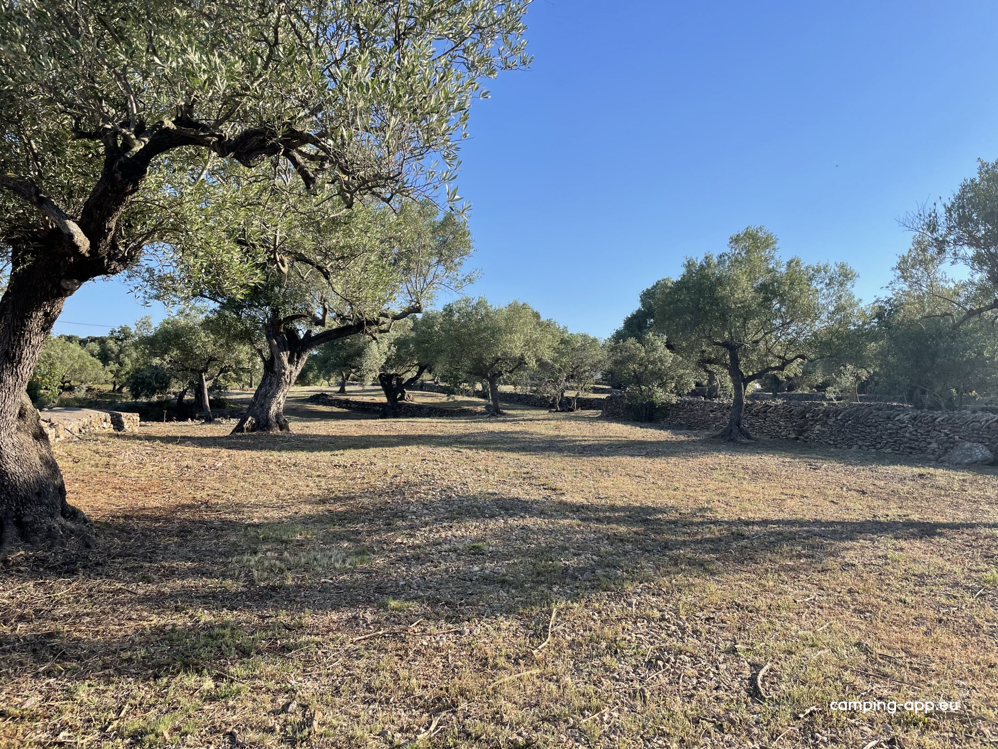 La Finca de los Viajeros — Foto 3