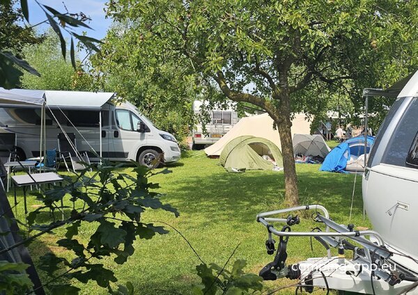 Minicamping Nummer 49