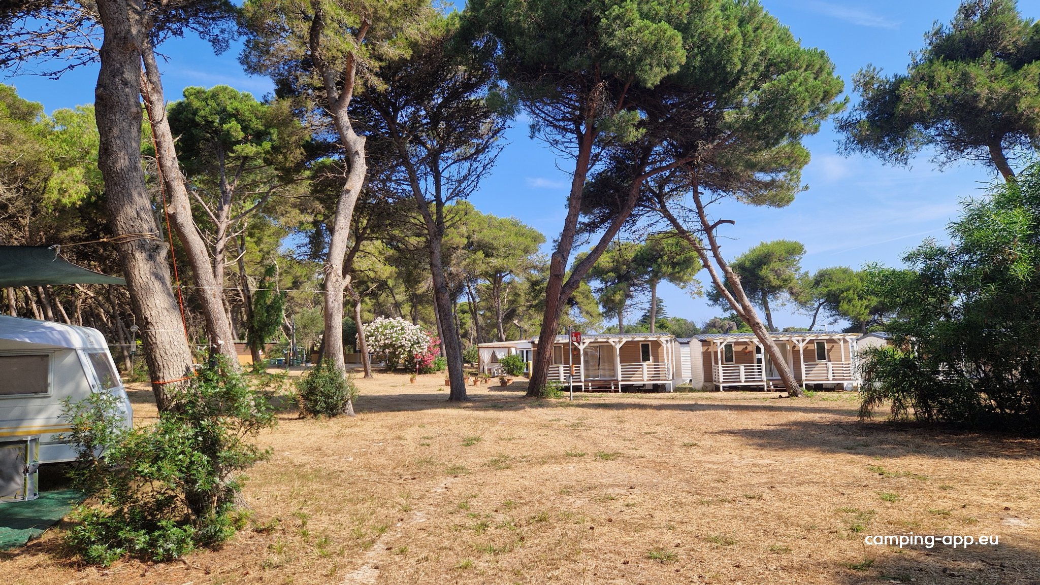 Campeggio Internazionale Frassanito — Foto 5