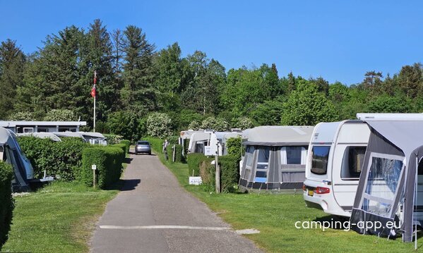 DCU-Camping Rågeleje Strand — Fotoğraf 4
