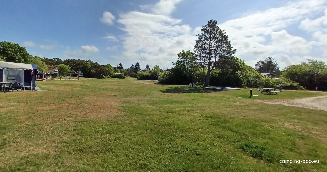 Lyngboparken (naturist, FKK) — Cámping in Henne