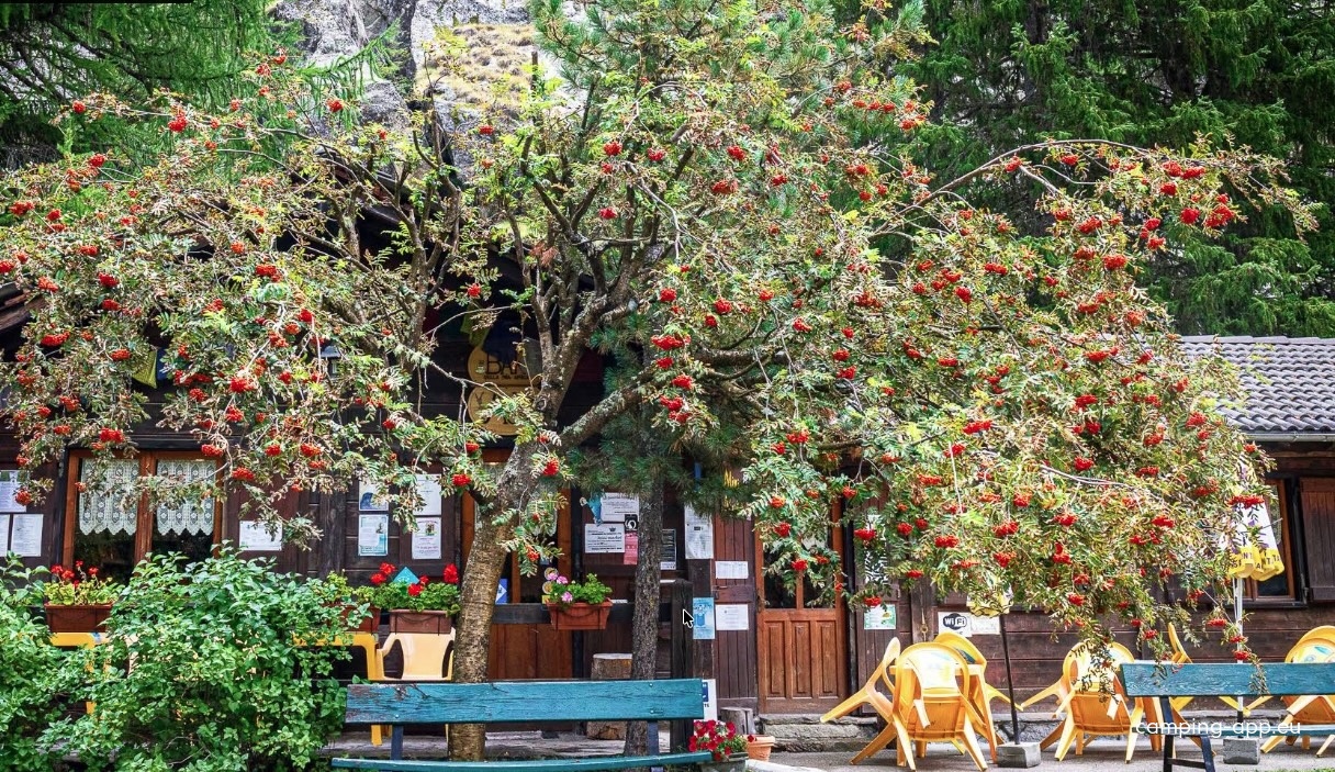 Camping Gran Paradiso, Valsavarenche — Camping in 