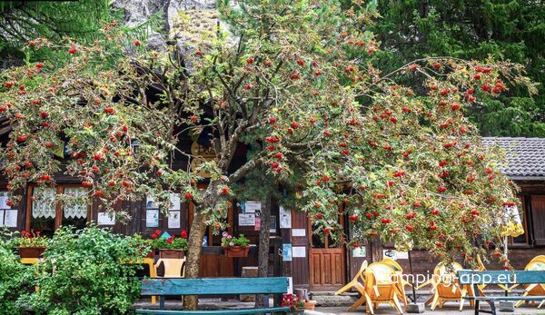 Camping Gran Paradiso, Valsavarenche