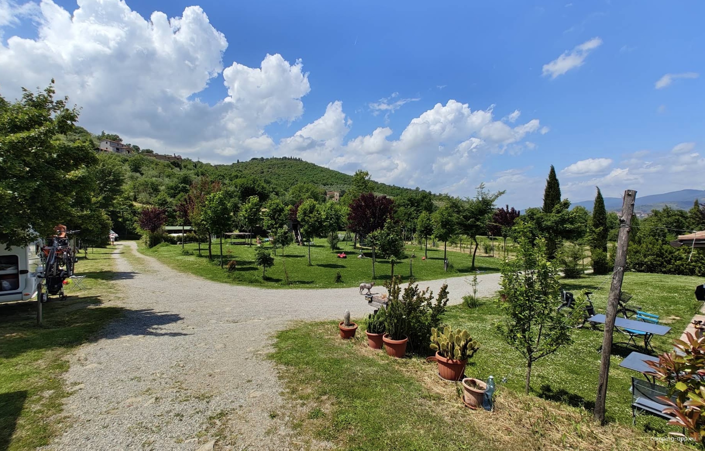Camping Il Saregeto — Campingplass in Castiglion Fiorentino