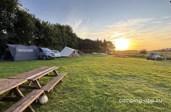 Kongeå Camping og Kano — Photo 3