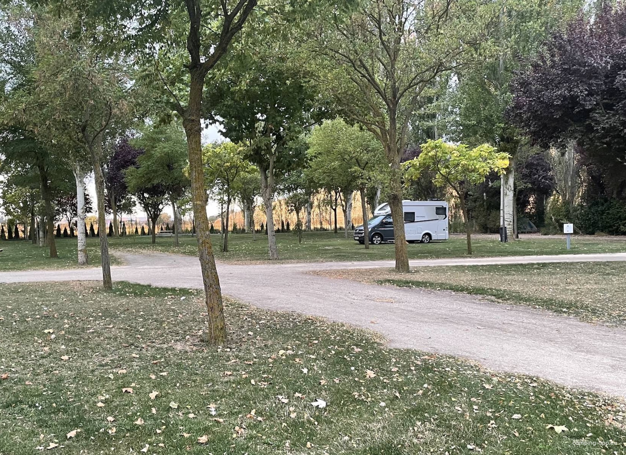 Quinta de Cavia — Kemp in Burgos