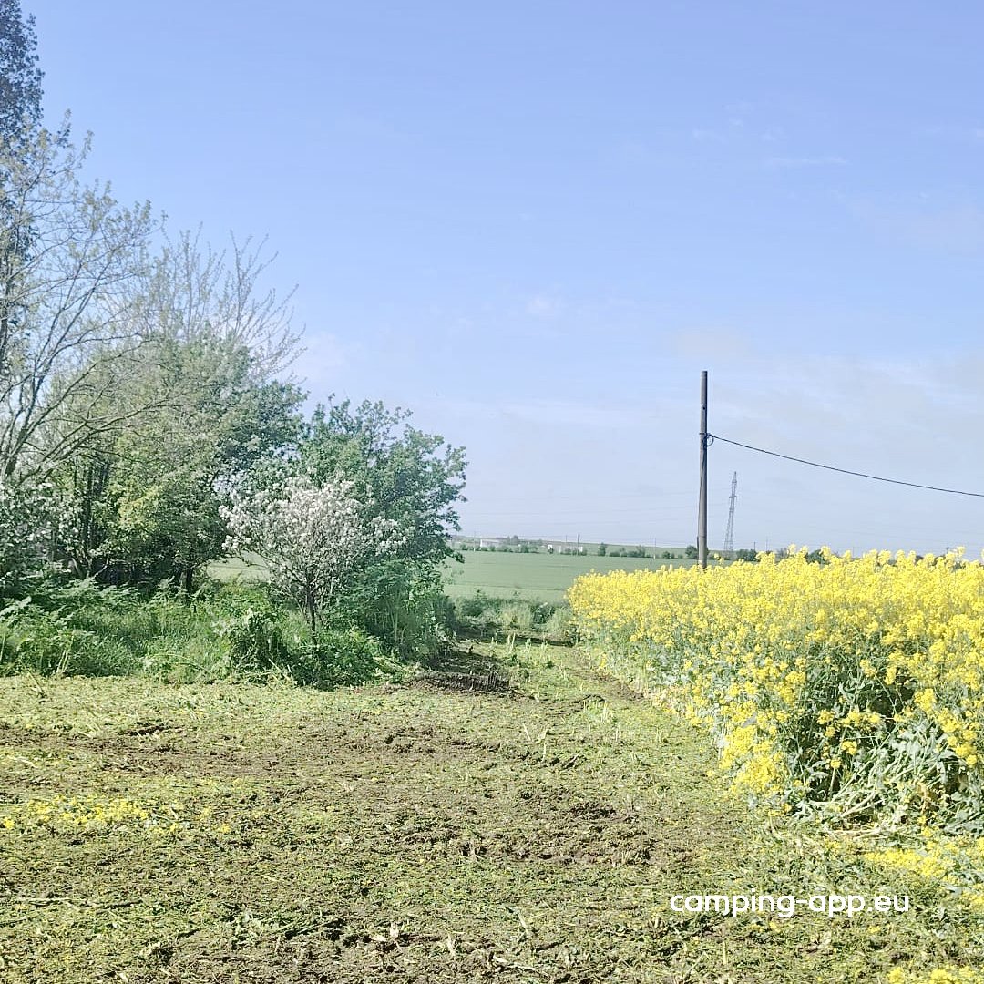 Câmpul cu Pescărusi — Foto 2
