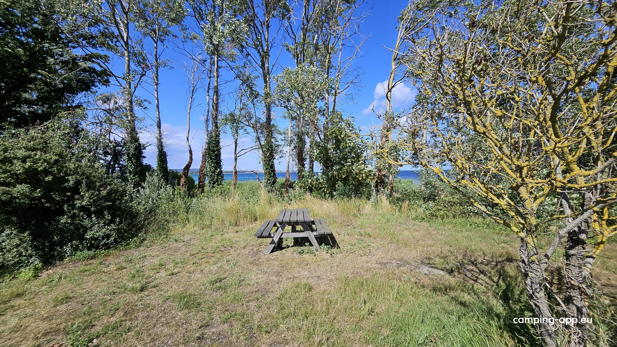 Stellplatz Snogebæk — Foto 4