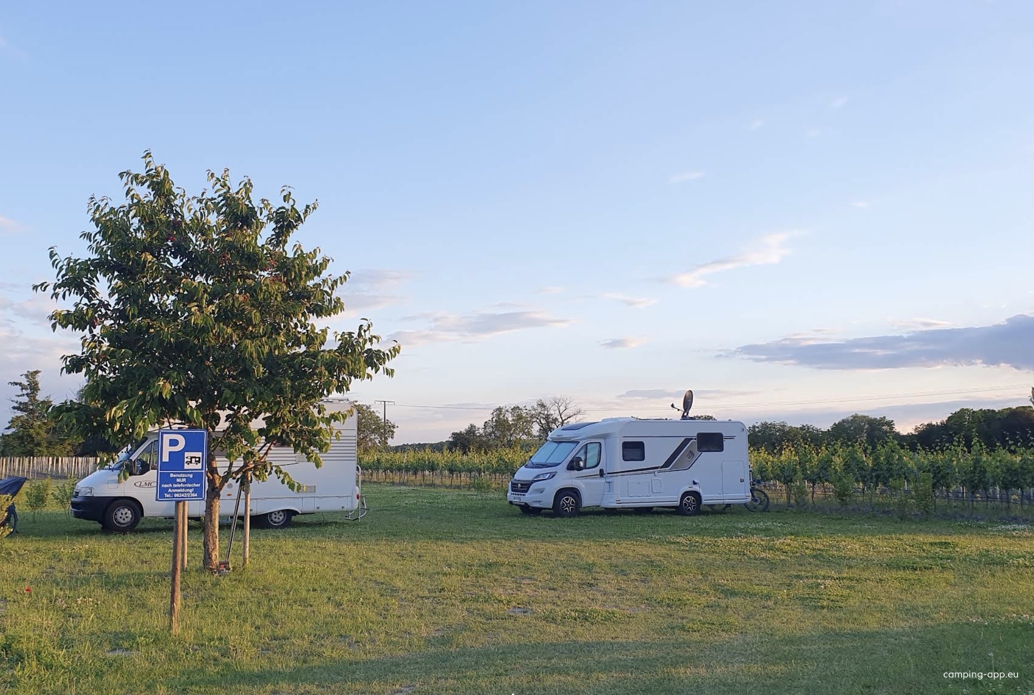 Biowein Schäfer — Vinícola in Mettenheim