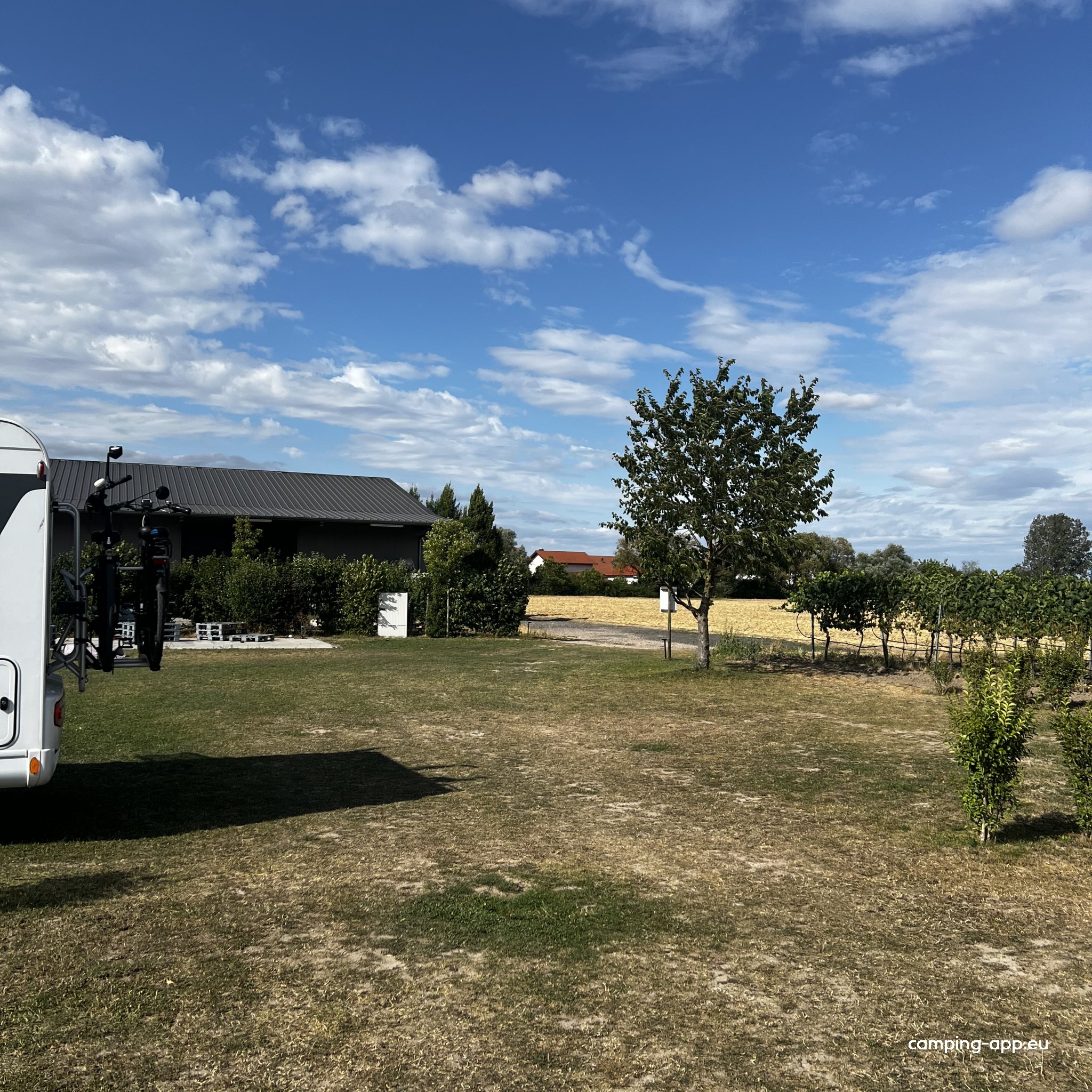 Biowein Schäfer — Foto 3