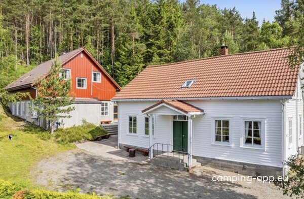 Mikkelsen camping — Foto 3