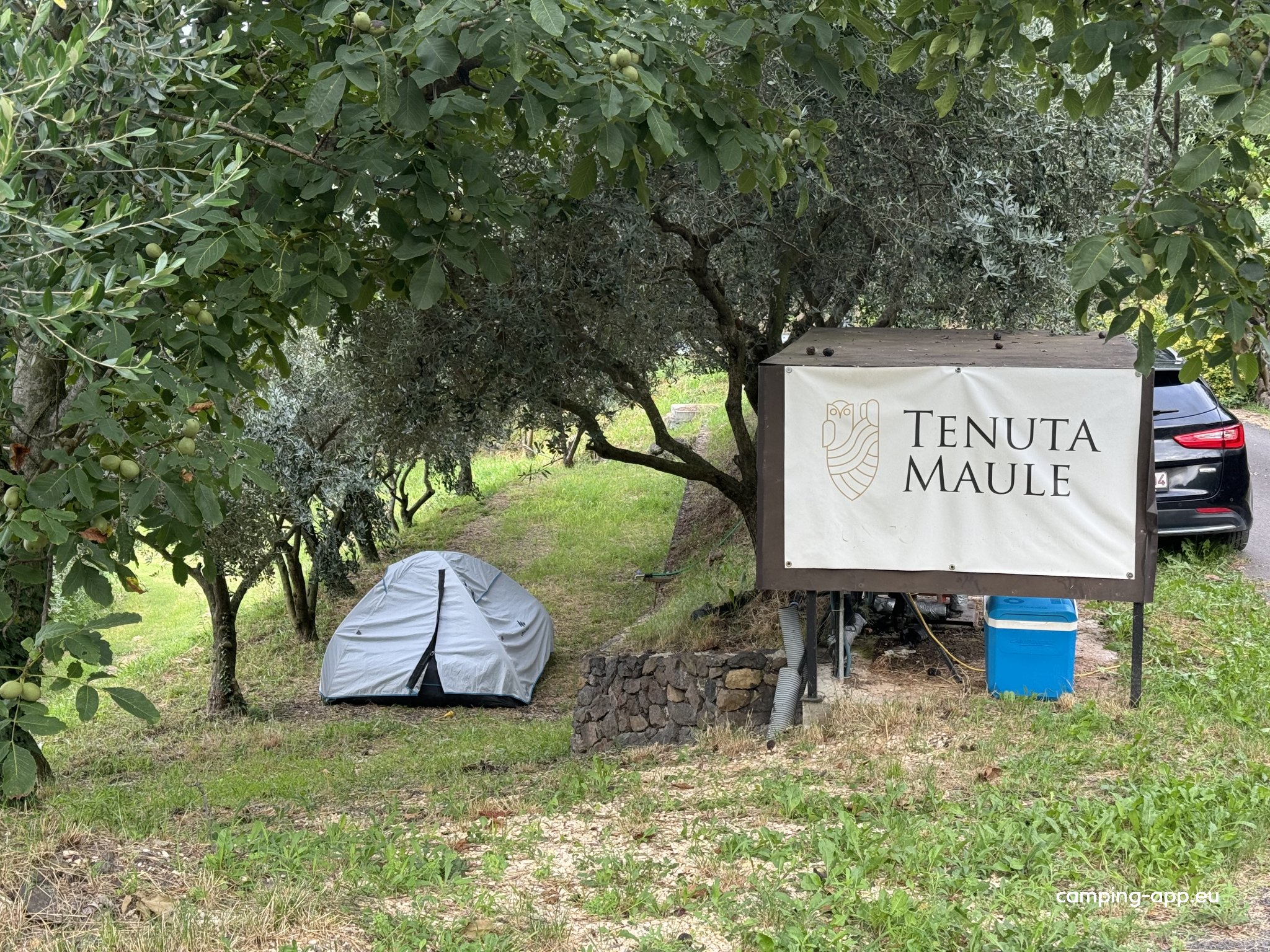 Tenuta Maule — Foto 6