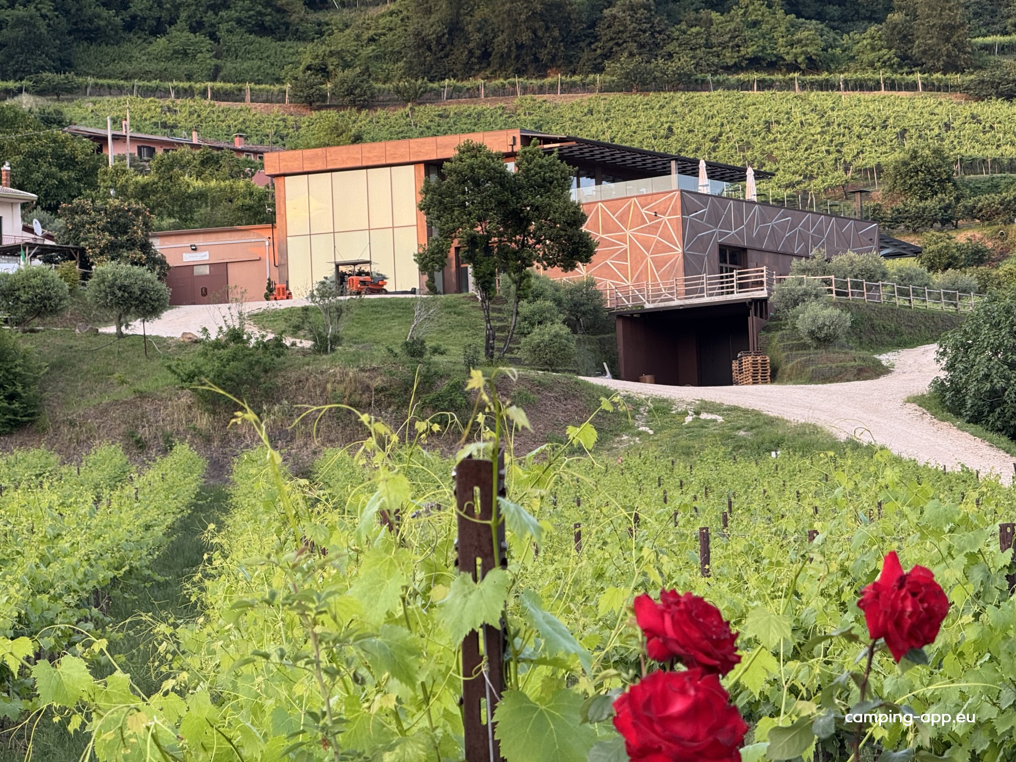 Tenuta Maule — Foto 3