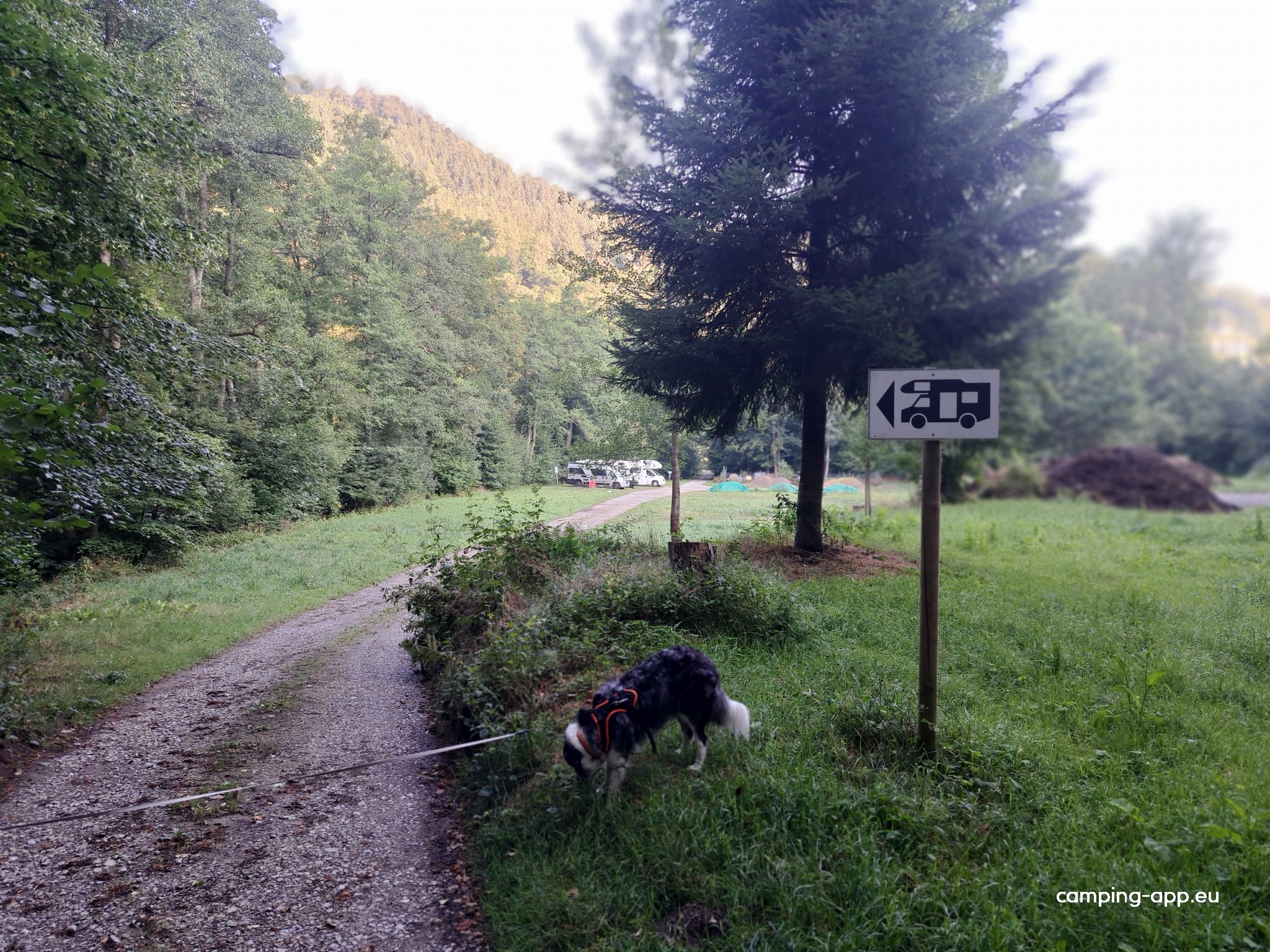 Bad Wildbad am Kurpark