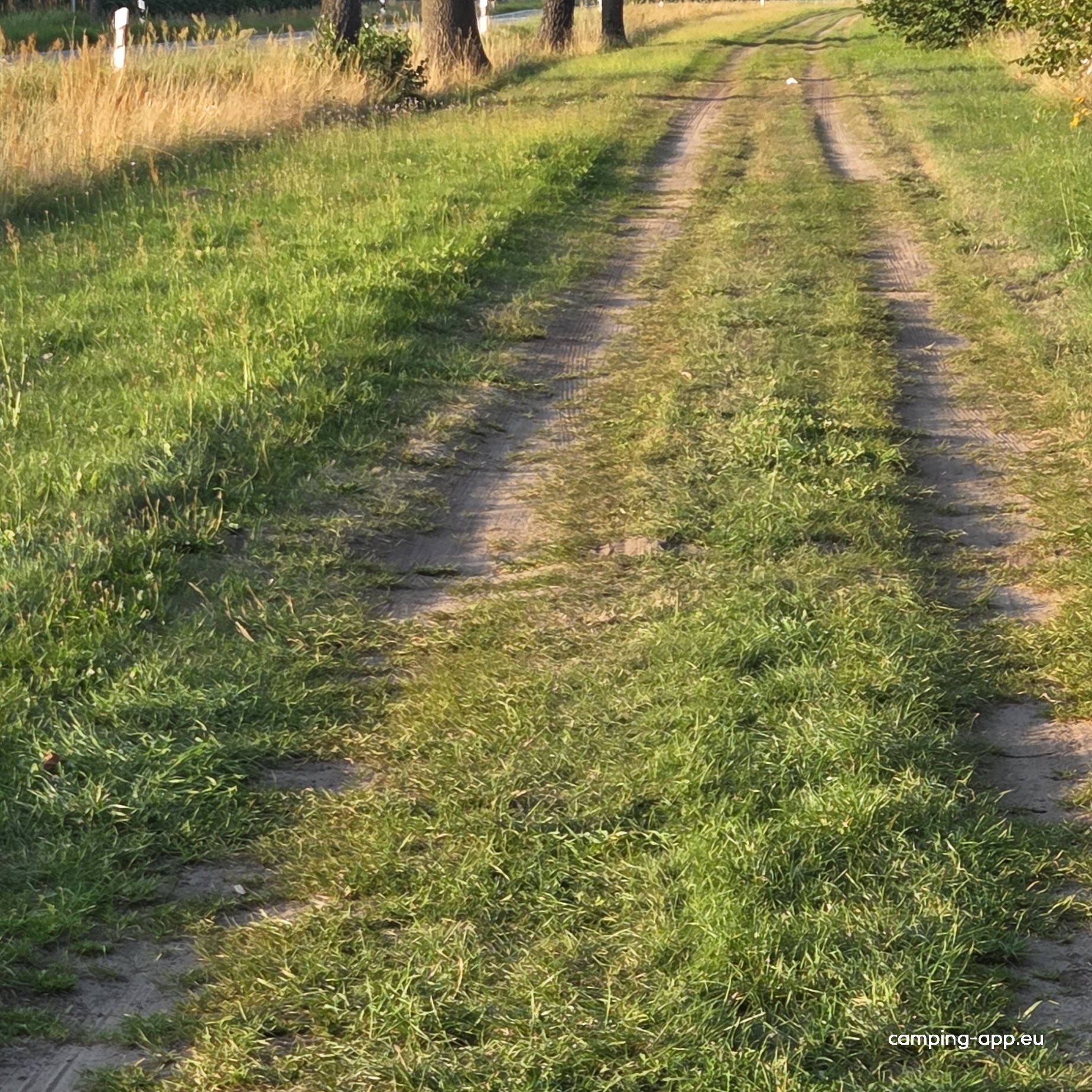 Stellplatz Rosiener See — Photo 3