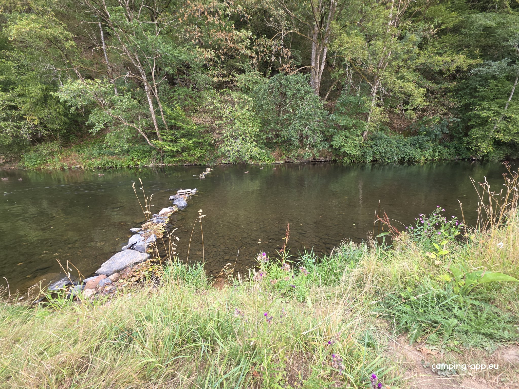 Camping Le Moulin — Foto 3