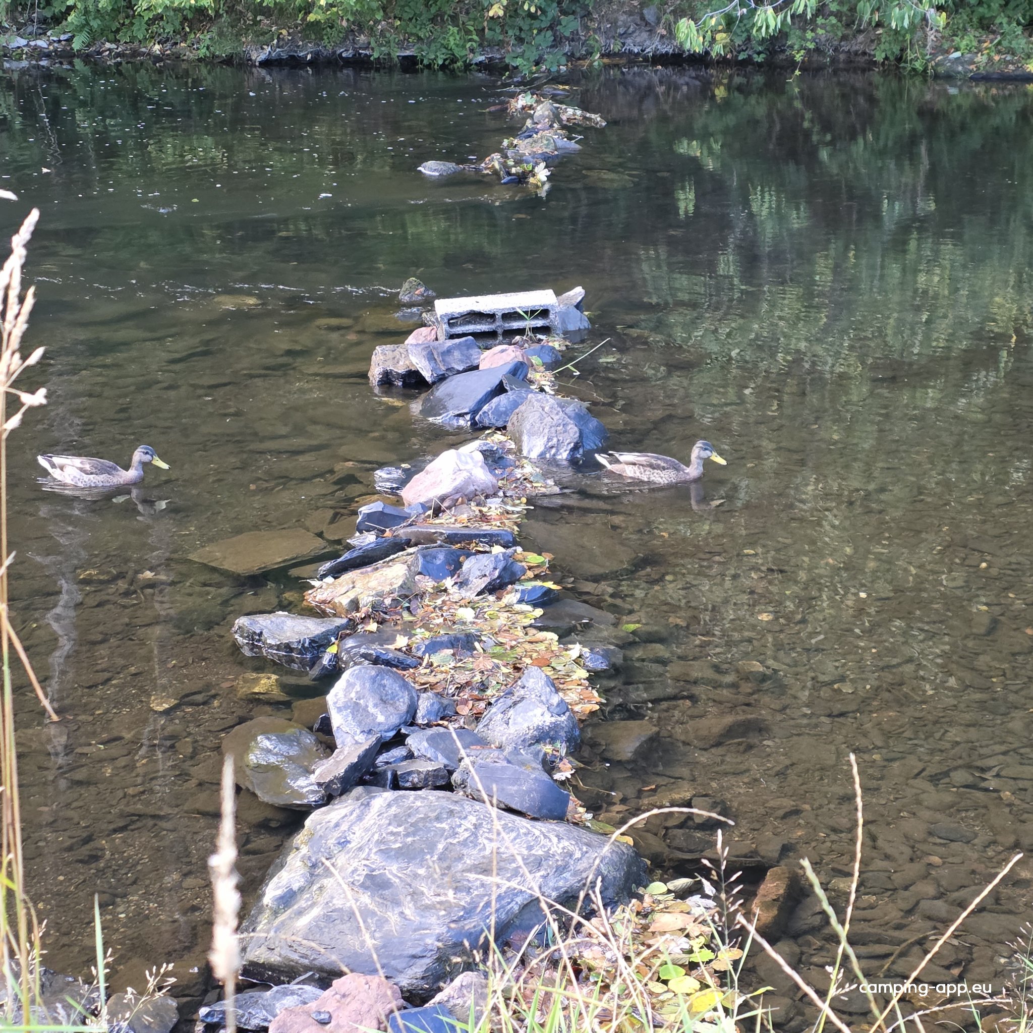 Camping Le Moulin — Foto 2