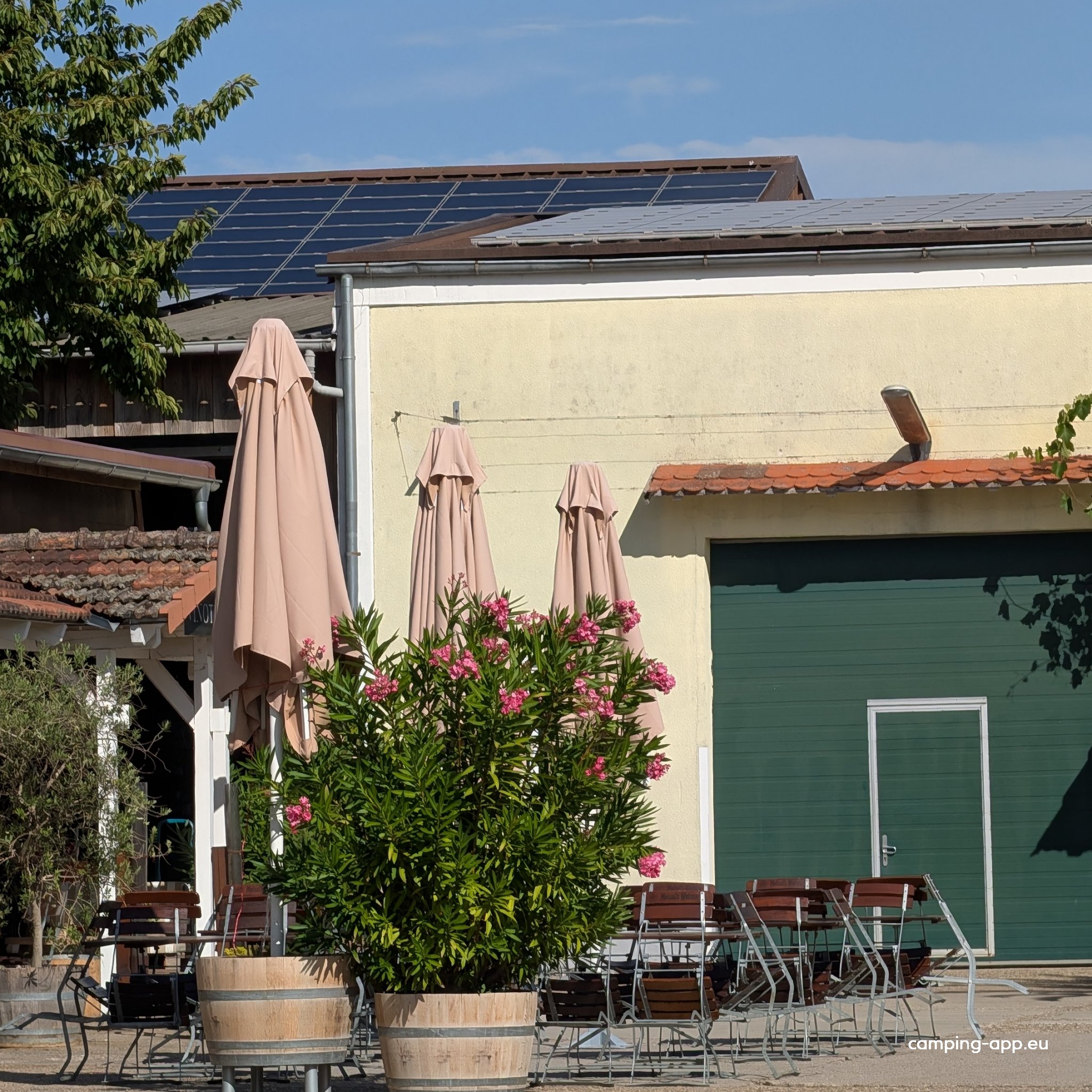 Weinhaus Pfaffmann — Foto 3