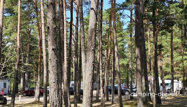 Camping Saules