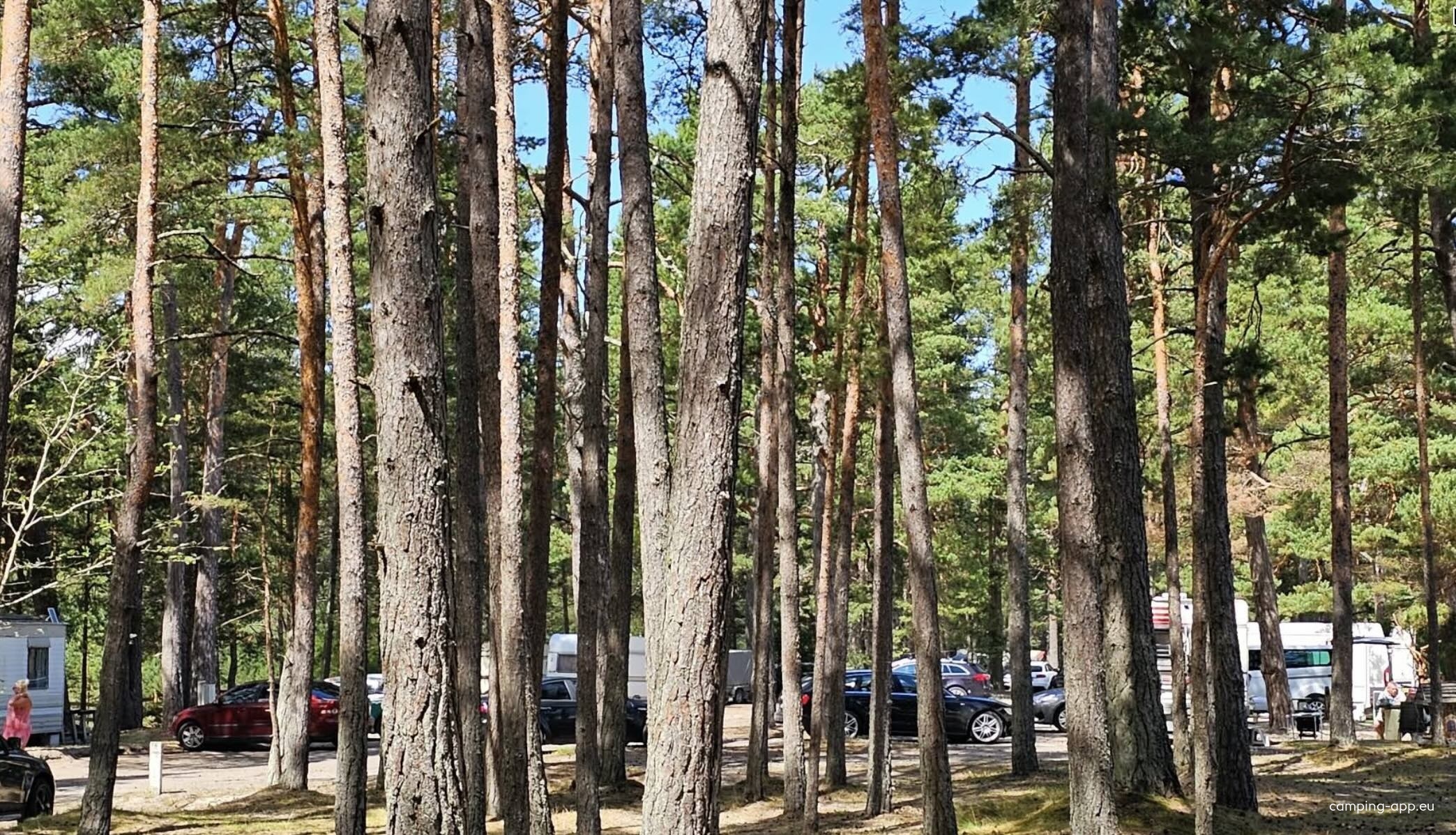 Camping Saules — Sítio de acampamento in Engures pagasts