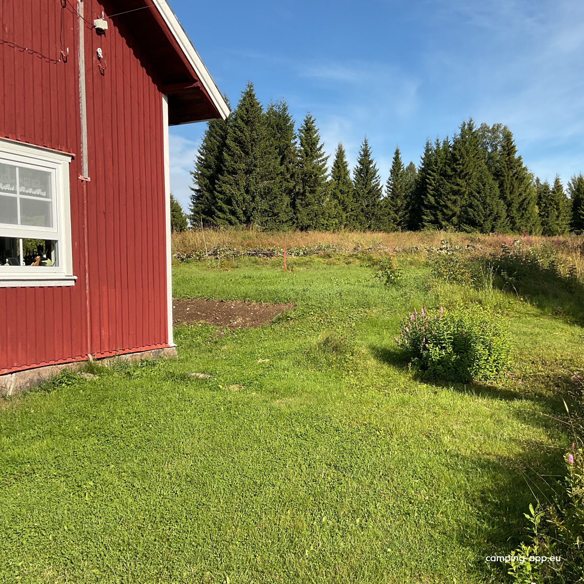 Mackaretjärn — Foto 2