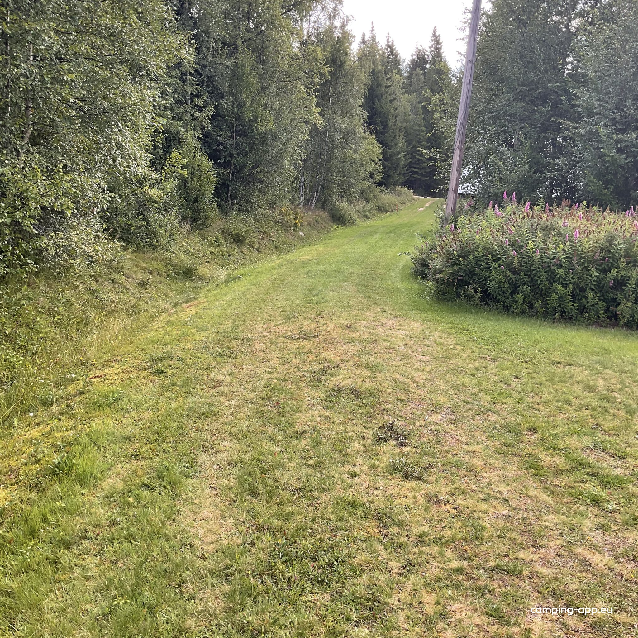 Mackaretjärn