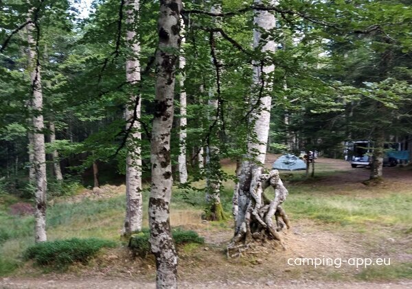 Aire Naturelle de Camping d‘Iraty (max. 3,20 m Höhe) — Photo 2