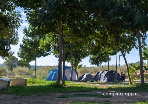 Camping Playamonte