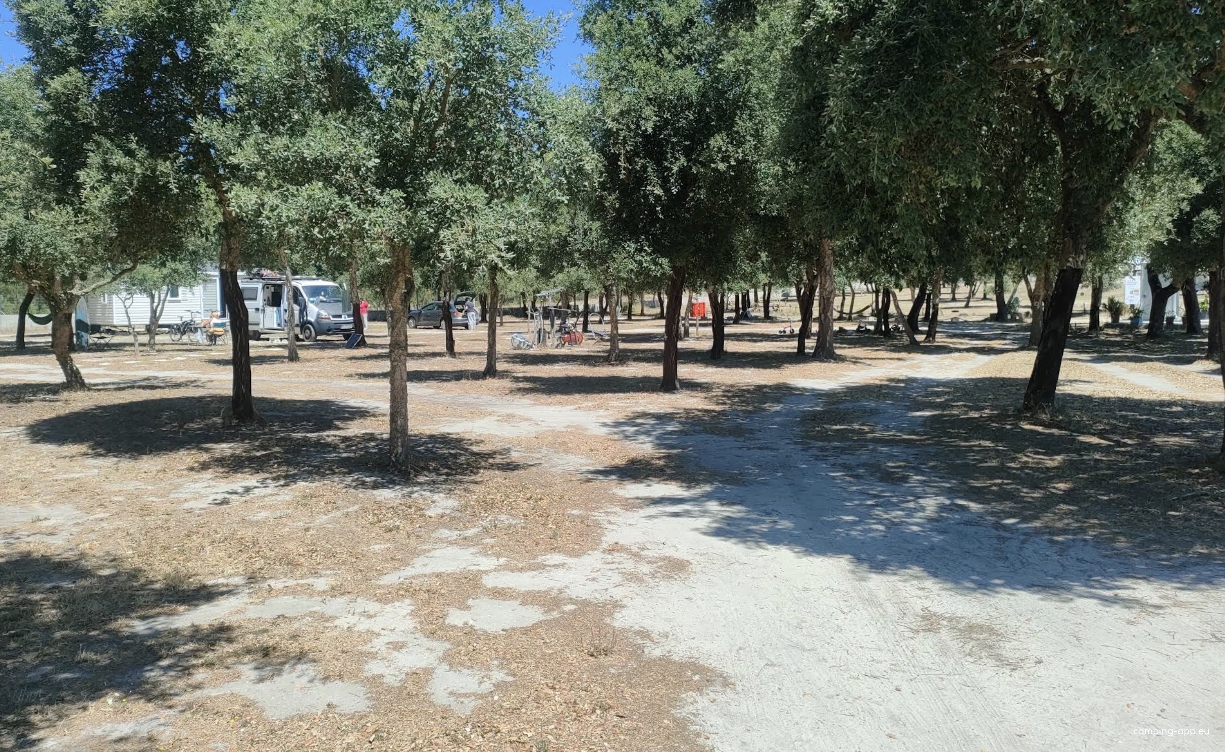 Alentejo Litoral Caravan Park — Camperplads in Aldeia de Brescos