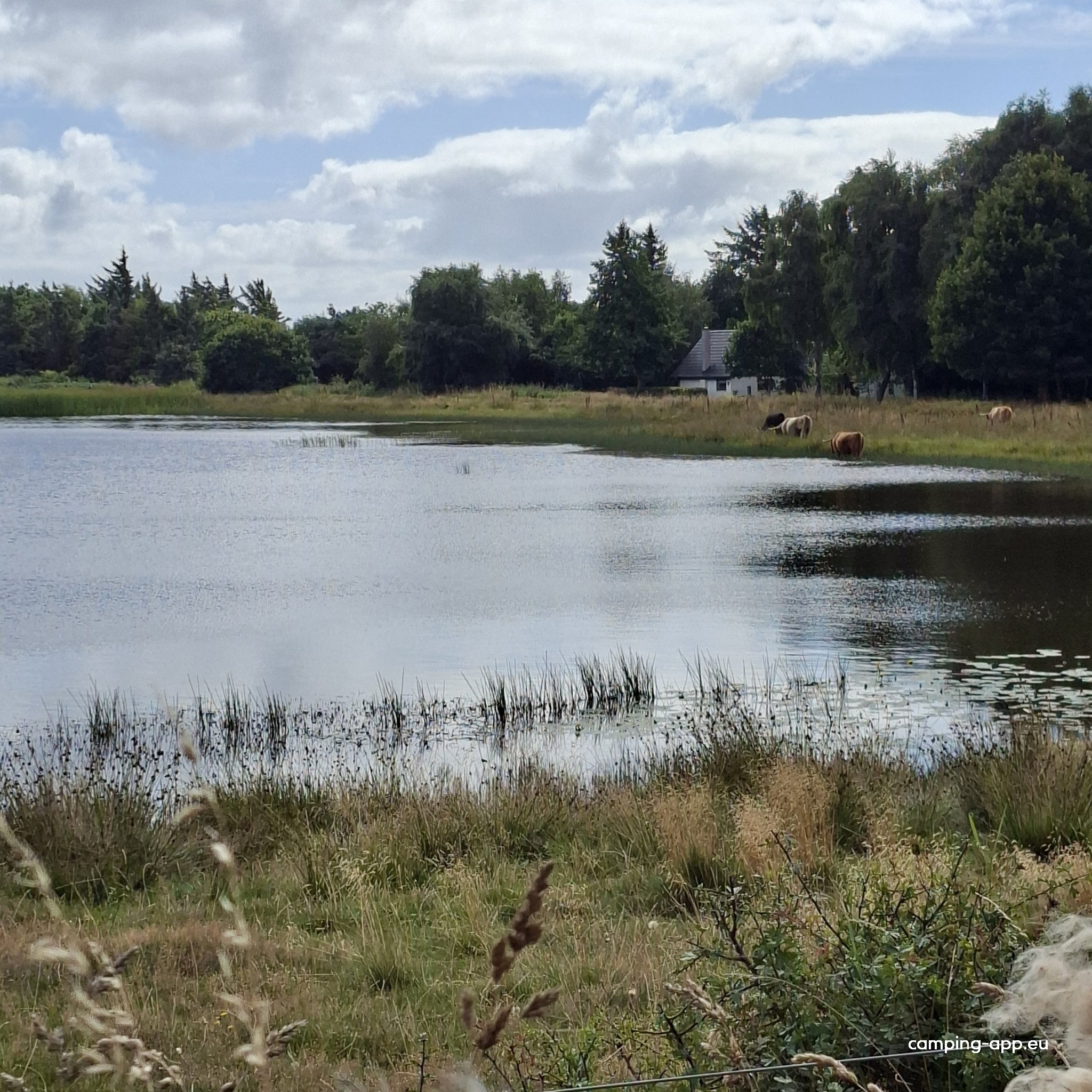 Sjelborg Camping — Foto 3
