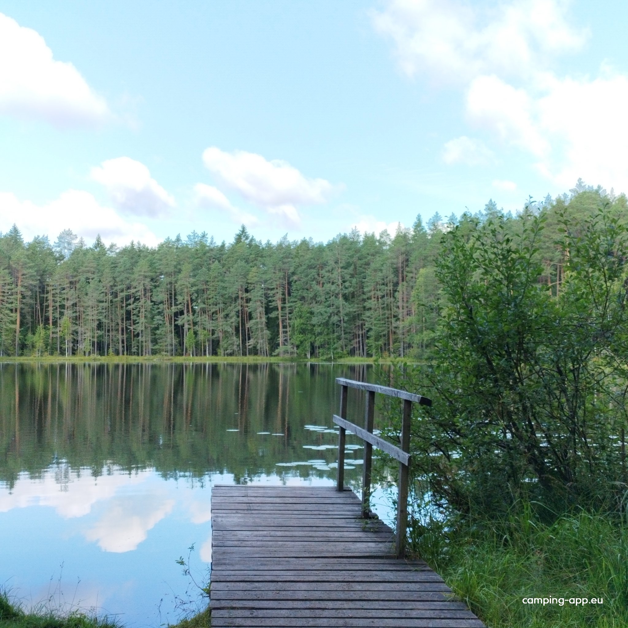 RMK Grill-Picknick-Campground — Foto 4