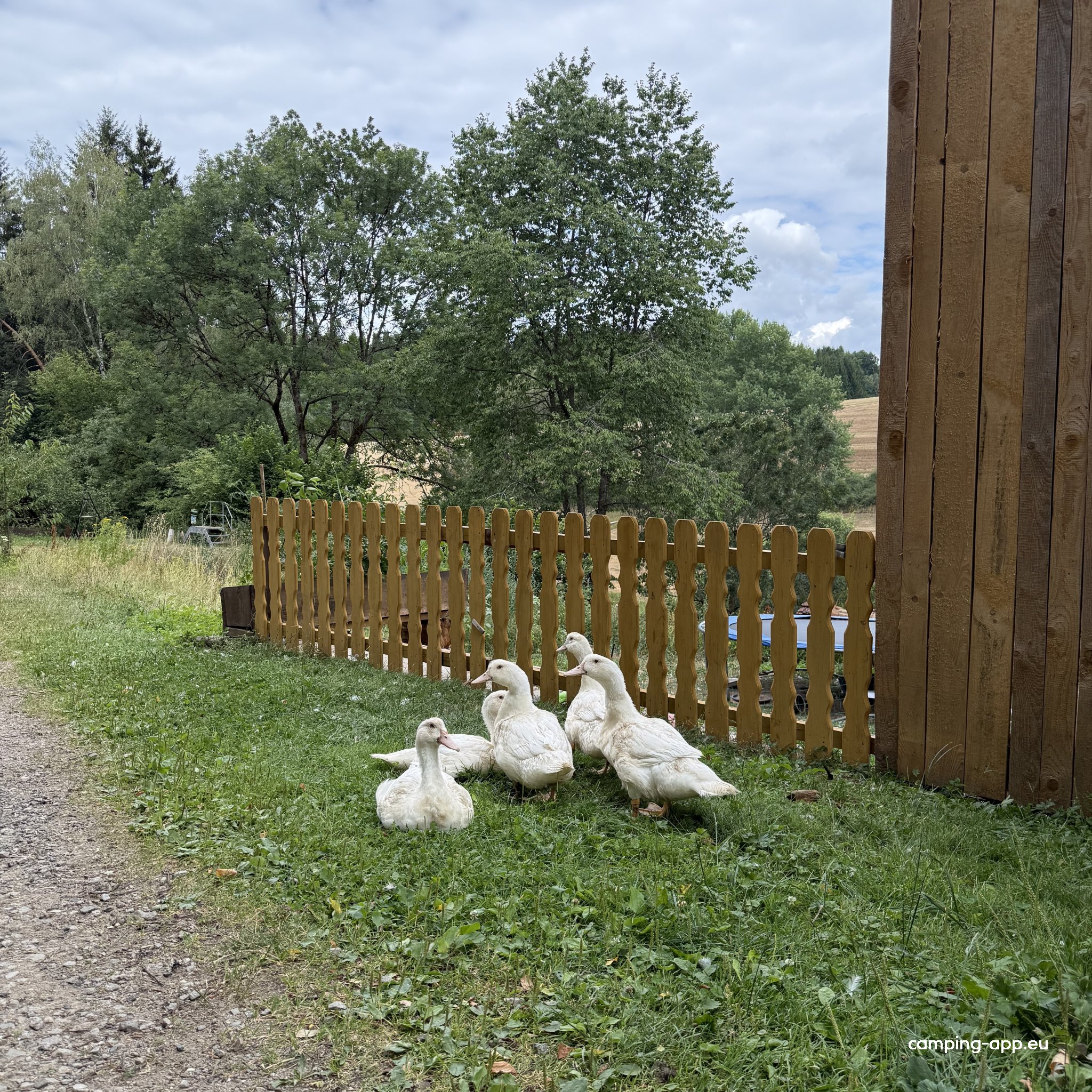 Ruhige Stellplätze am Waldrand — Foto 5