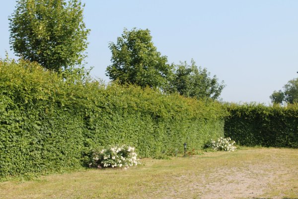 Villa Hochdörffer - Weingut & Gästehaus — Foto 6