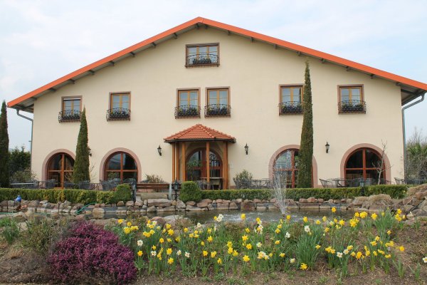 Villa Hochdörffer - Weingut & Gästehaus — Photo 4