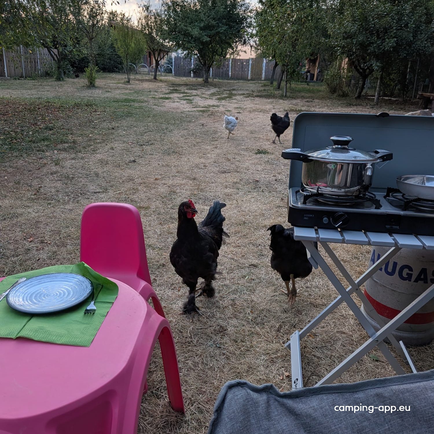 Camping Luna — Foto 2