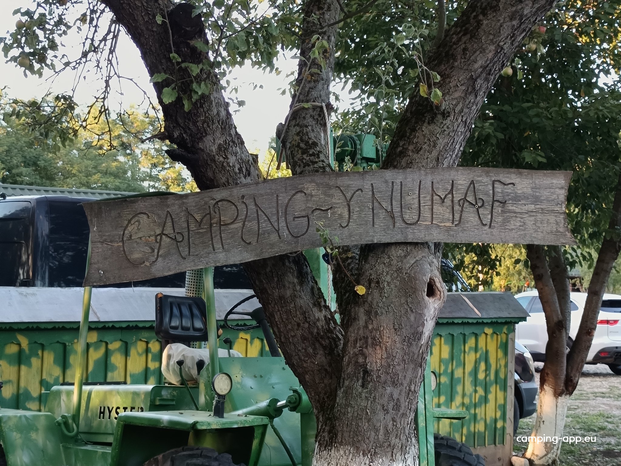 Camping Ynu Maf — Foto 3