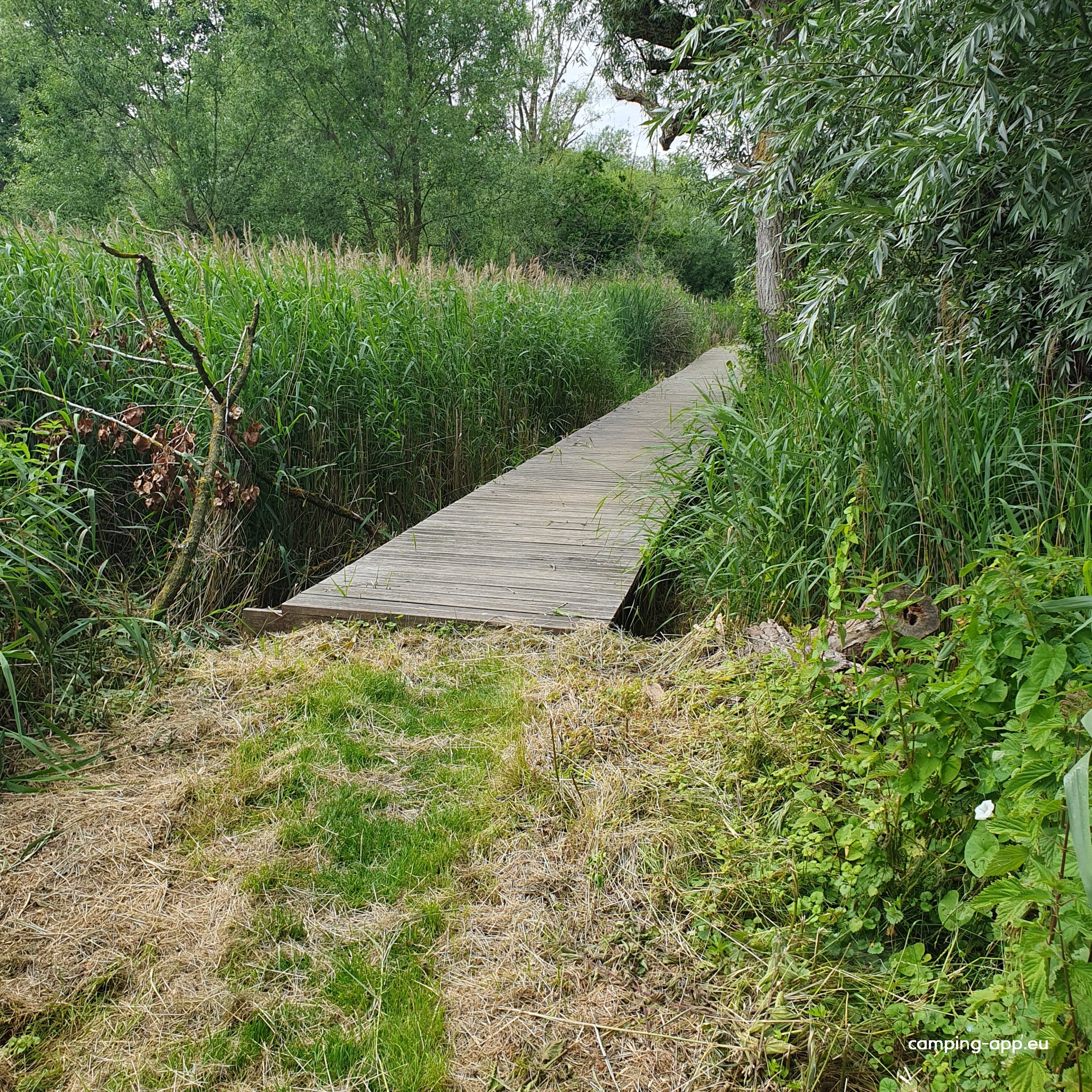 Camperplaats 't Vieverbrook — Foto 3