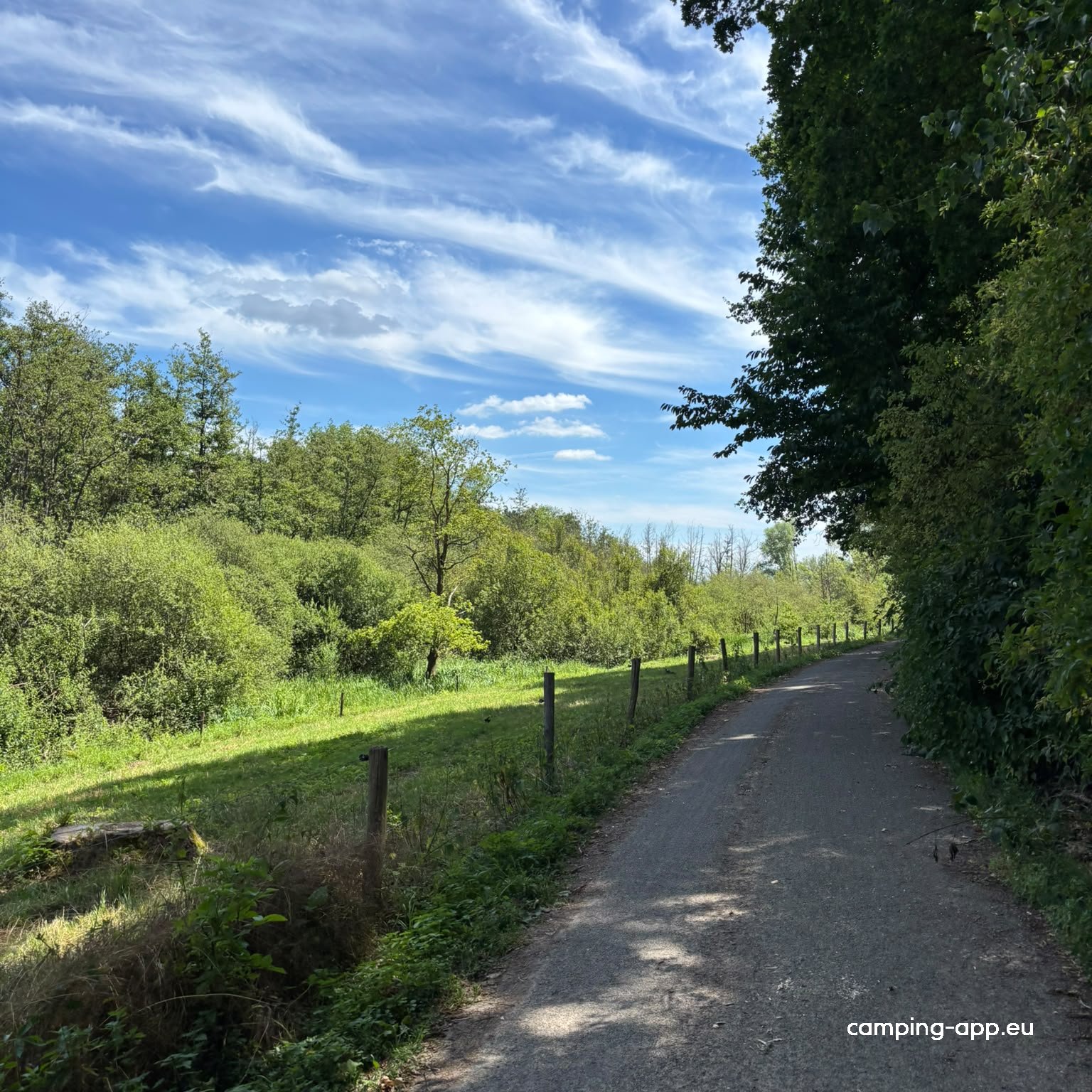 Camperplaats 't Vieverbrook — Foto 4