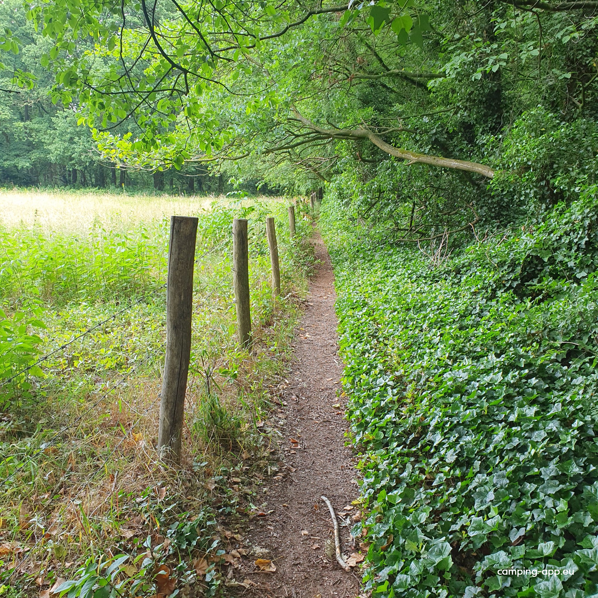 Camperplaats 't Vieverbrook — Foto 2