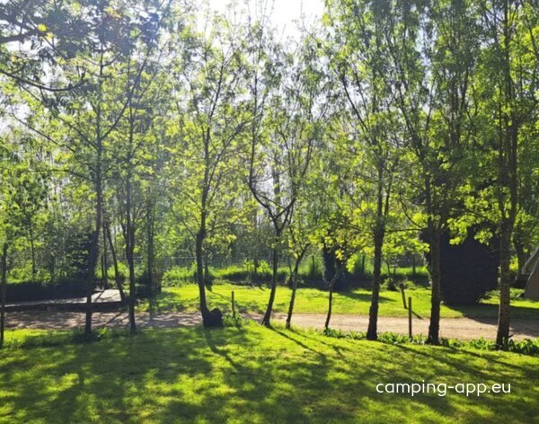 Camping Ô P'tit Marais *** — Foto 2