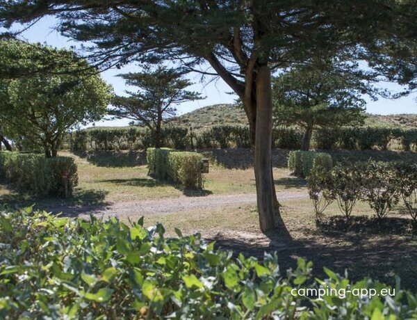 Camping Les Cyprès **** — Zdjęcie 3