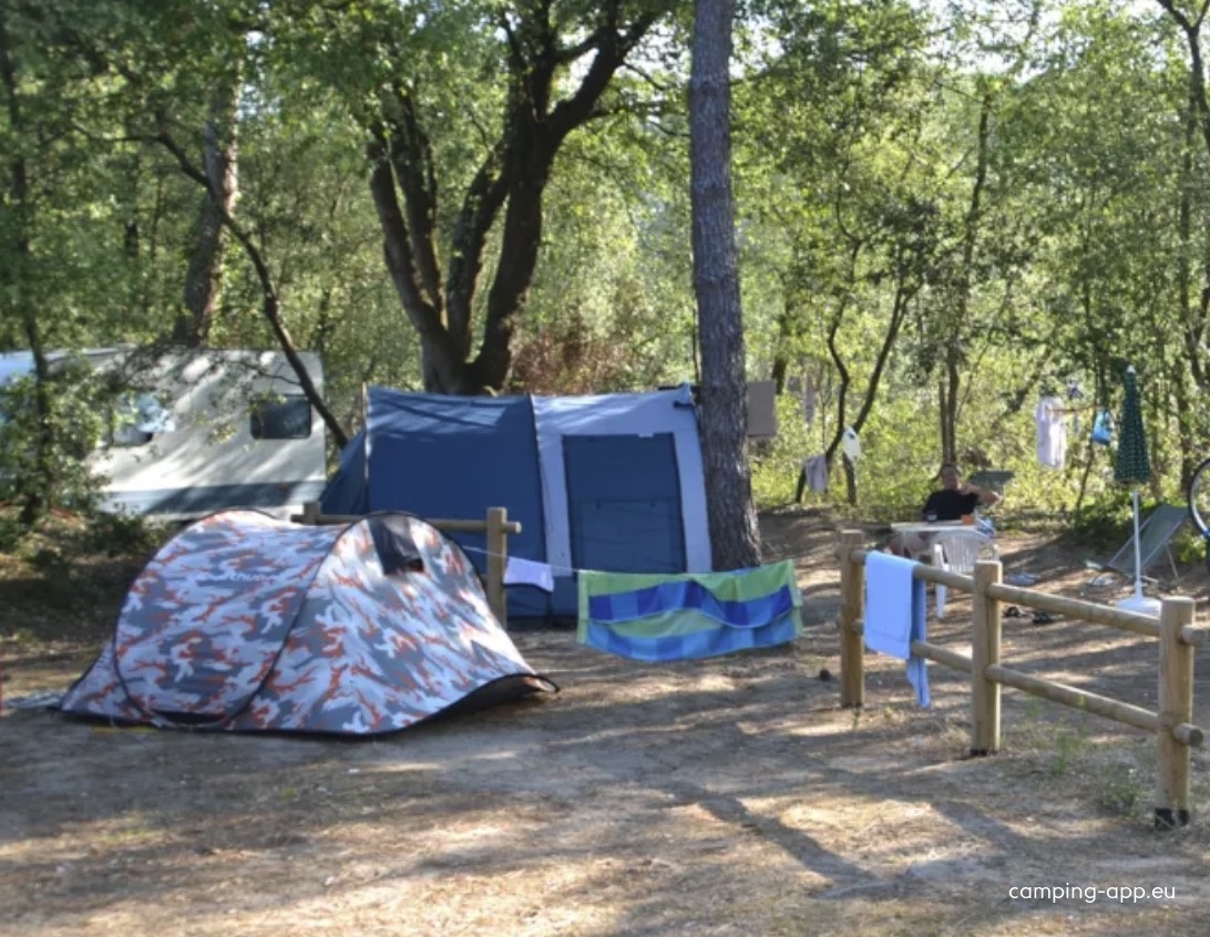 Camping de la Corsive *** — Camping Site in La Barre-de-Monts