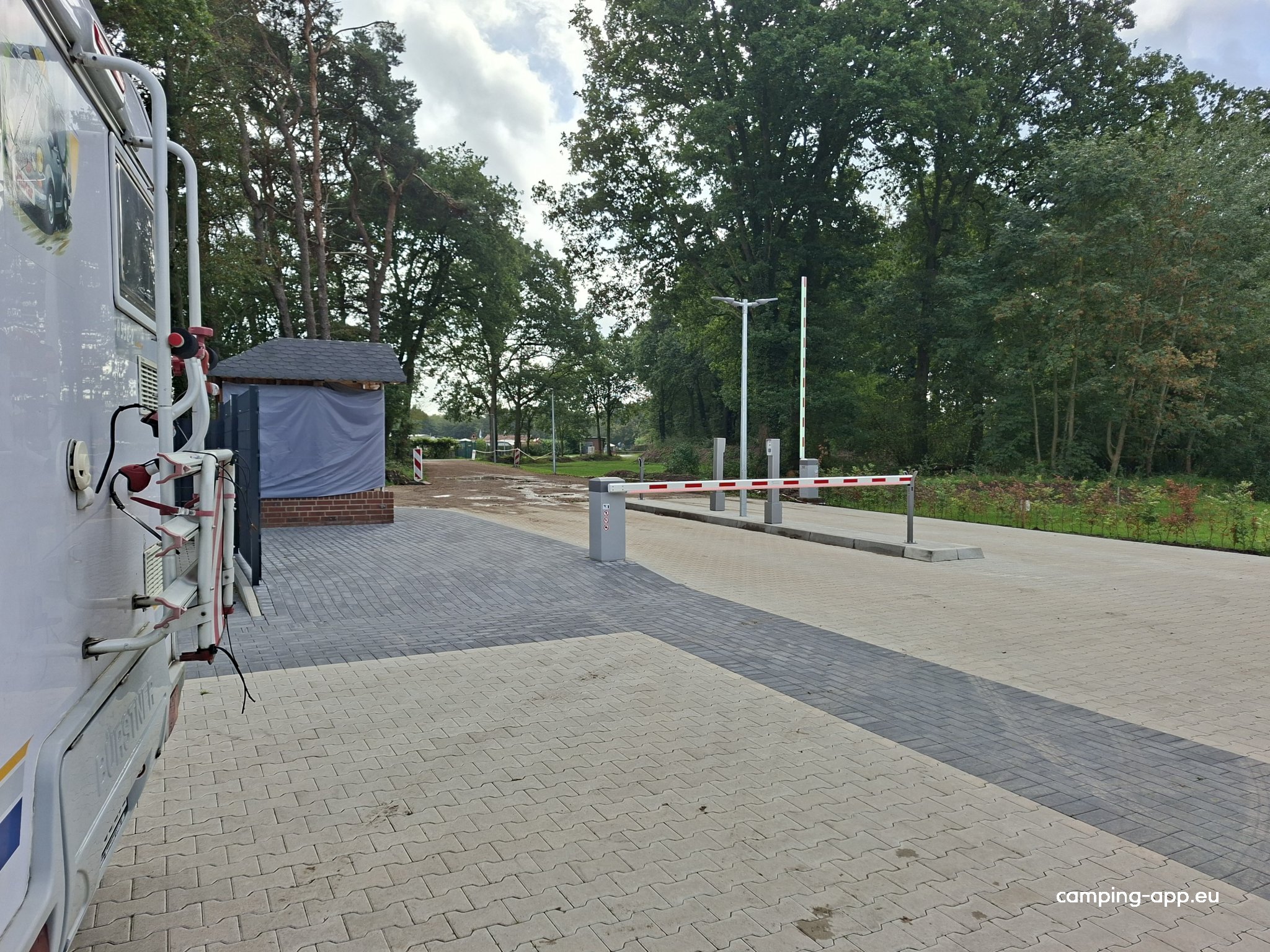 Waldsee — Foto 6