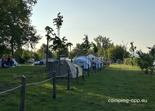 Partifecske kemping — Photo 3