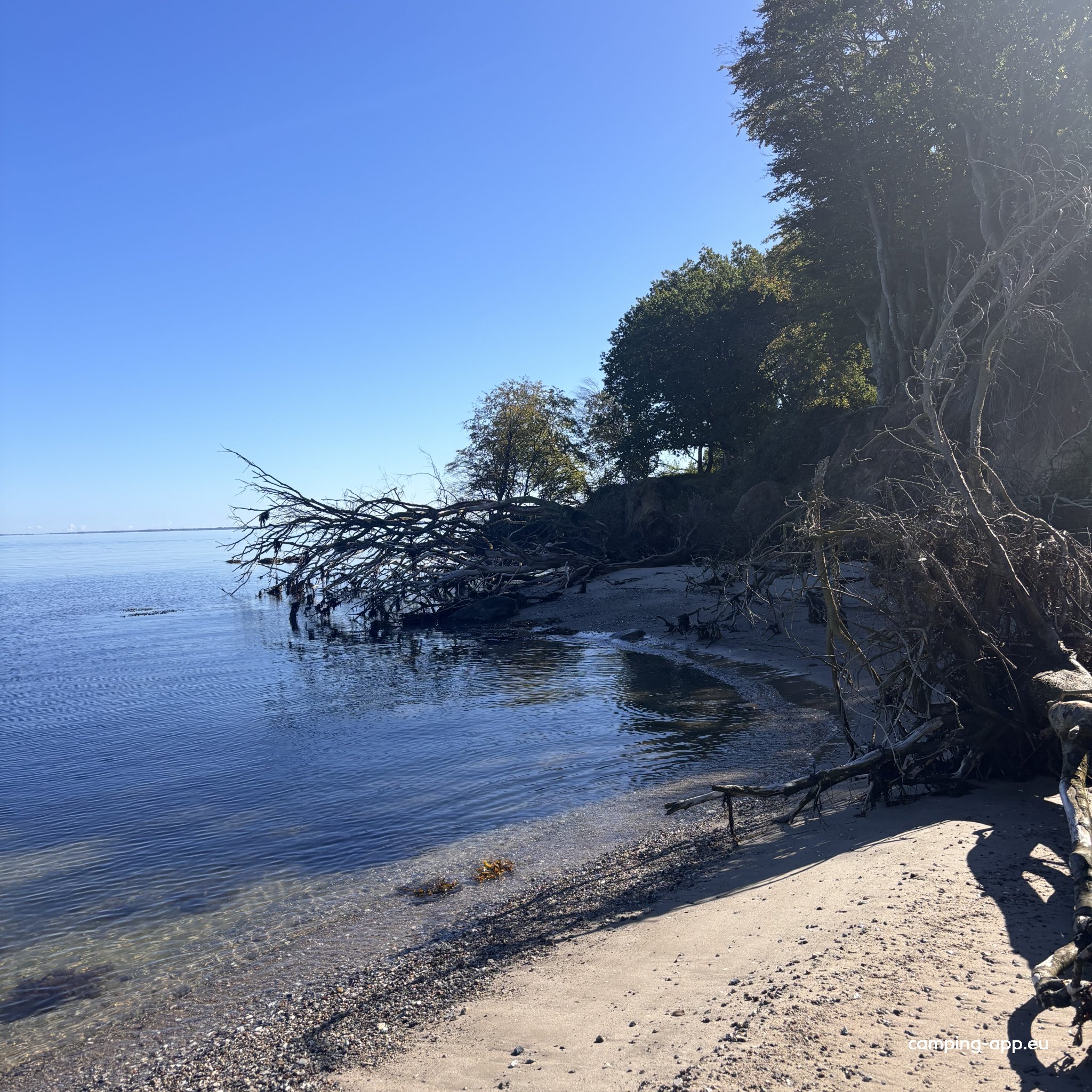 DANCAMPS Trelde Næs — Foto 3